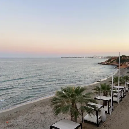 La Recoleta Torrevieja