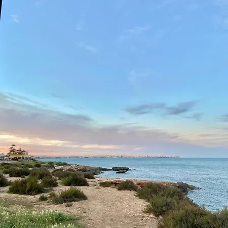 La Recoleta Torrevieja